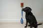 Dog lead hook